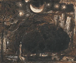 Un pastore e il suo gregge sotto la luna e le stelle